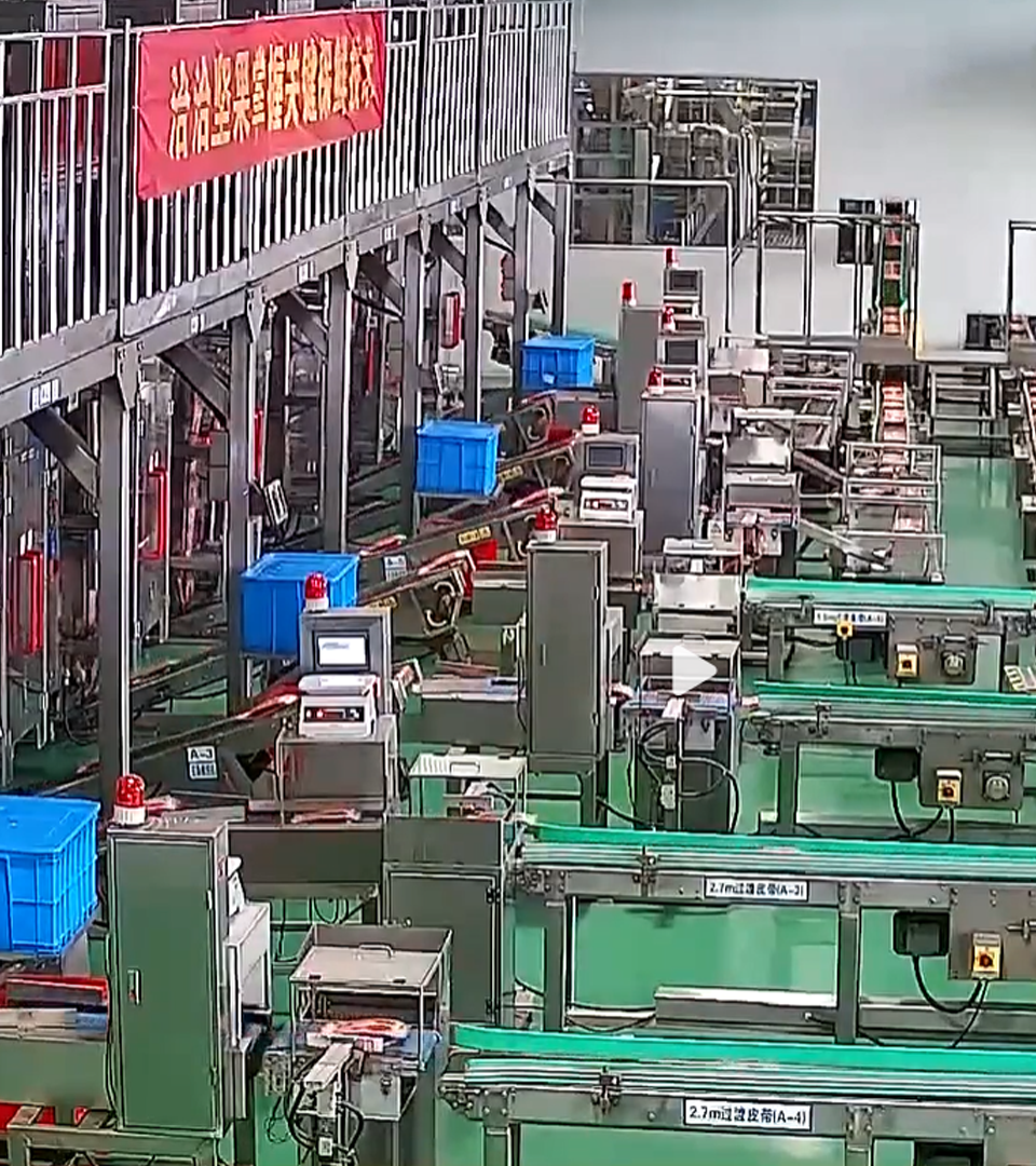 2020年AG公司透明工厂直播